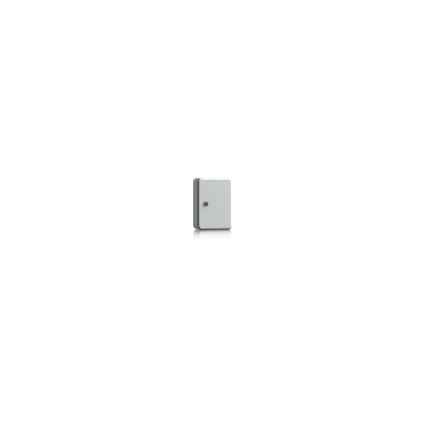 Key box, sheet steel, light grey, HxWxD 250 x 180 x 90 mm, 15 hooks.