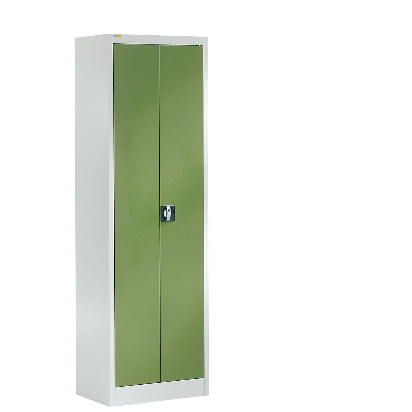 Storage cupboard, HxW 1950 x 600 mm, depth 500 mm, housing light grey, doors reseda green.