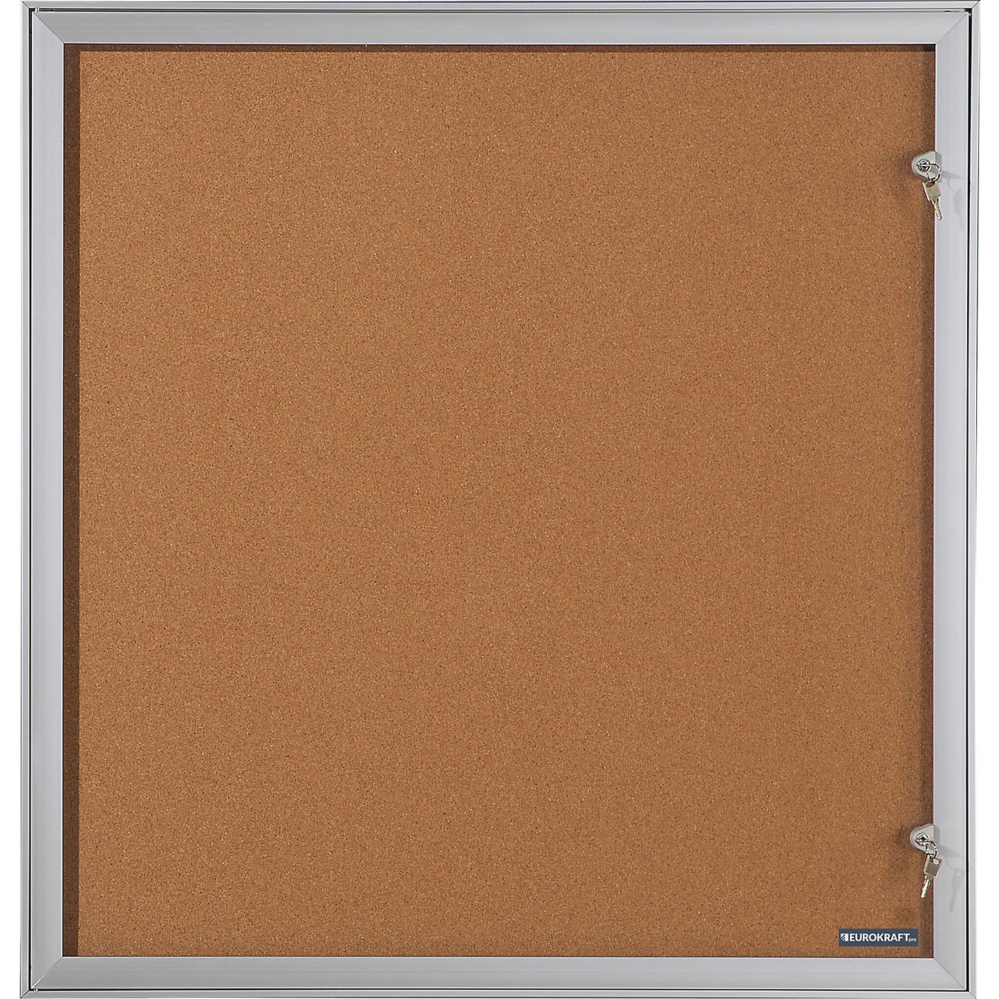 Display case with hinged door, external WxHxD 960 x 1005 x 33 mm, metal rear panel.