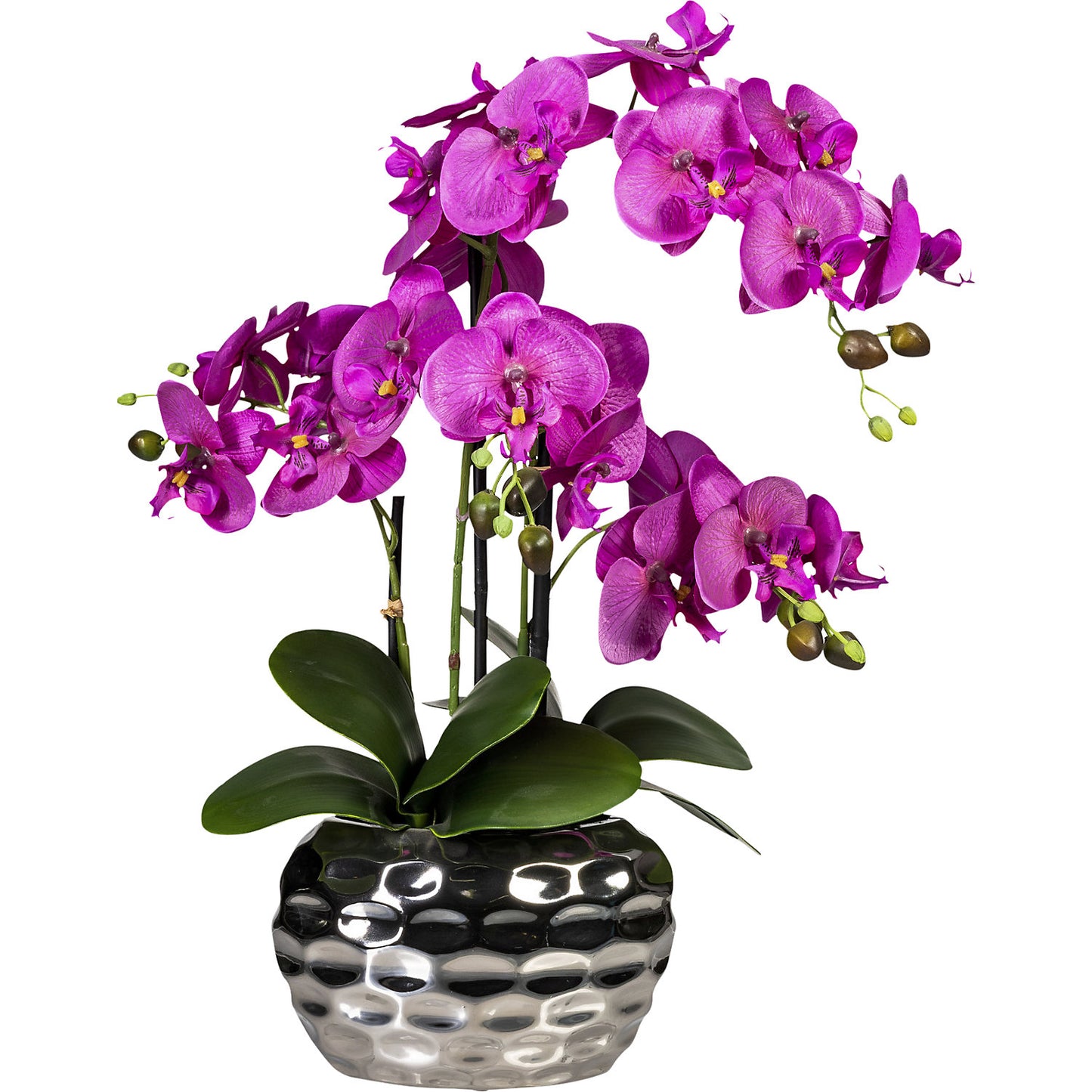 Moth orchid in an oval vase, height 550 mm, violet flowers.