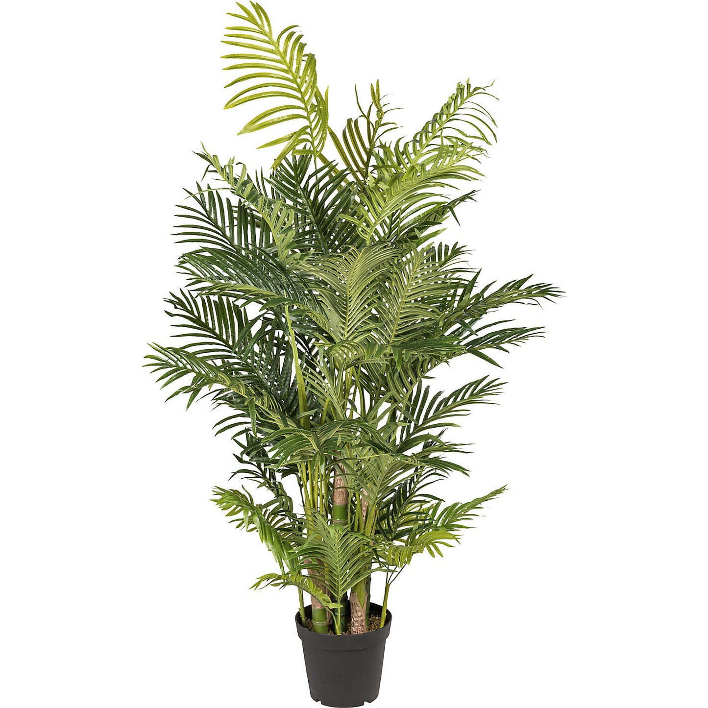 Areca palm, real touch, in a plastic pot, height 1700 mm.