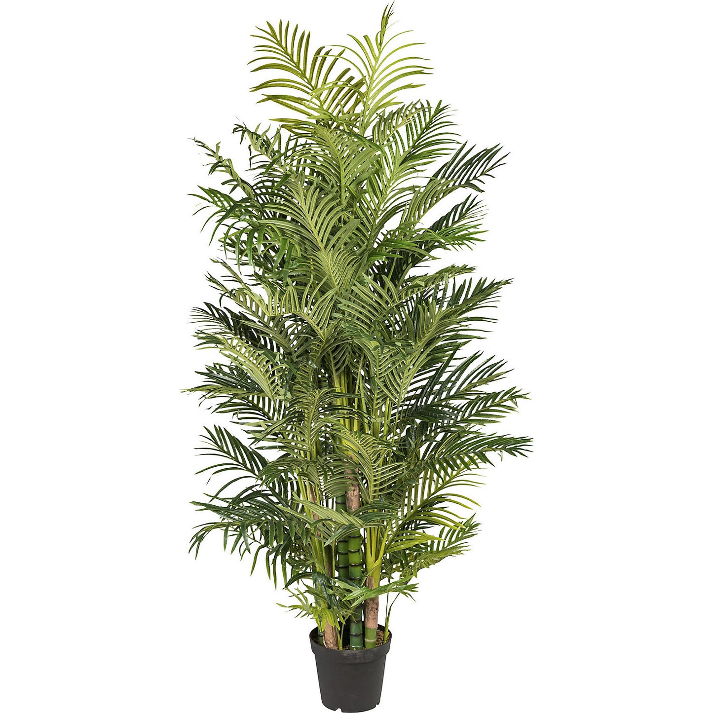 Areca palm, real touch, in a plastic pot, height 2200 mm.