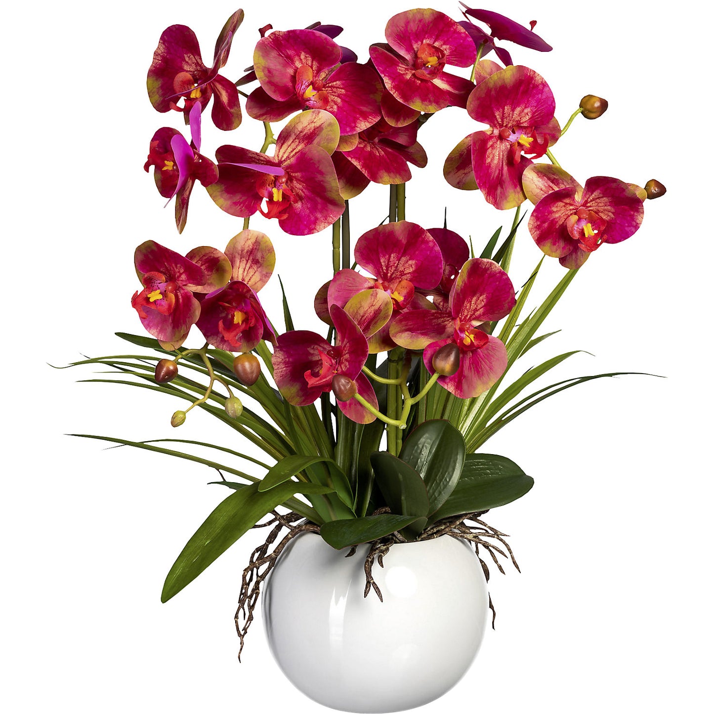 Moth orchid in a ceramic pot, height 580 mm, pink.