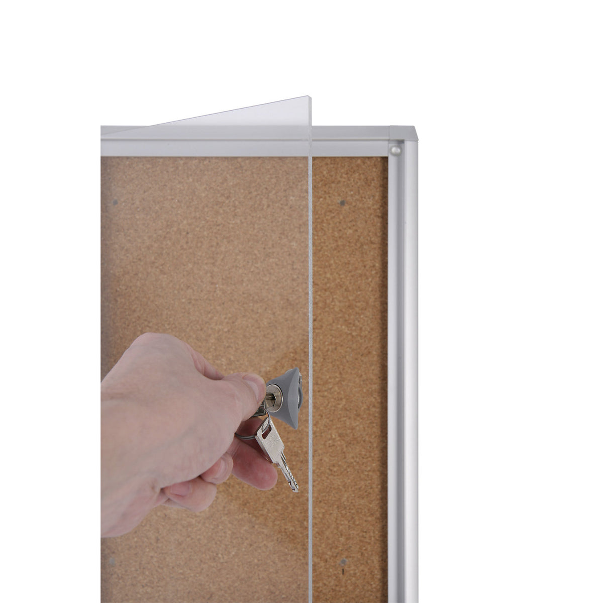 Display case for indoor use, cork rear panel, 12 x A4 sheets, HxW 963 x 931 mm.