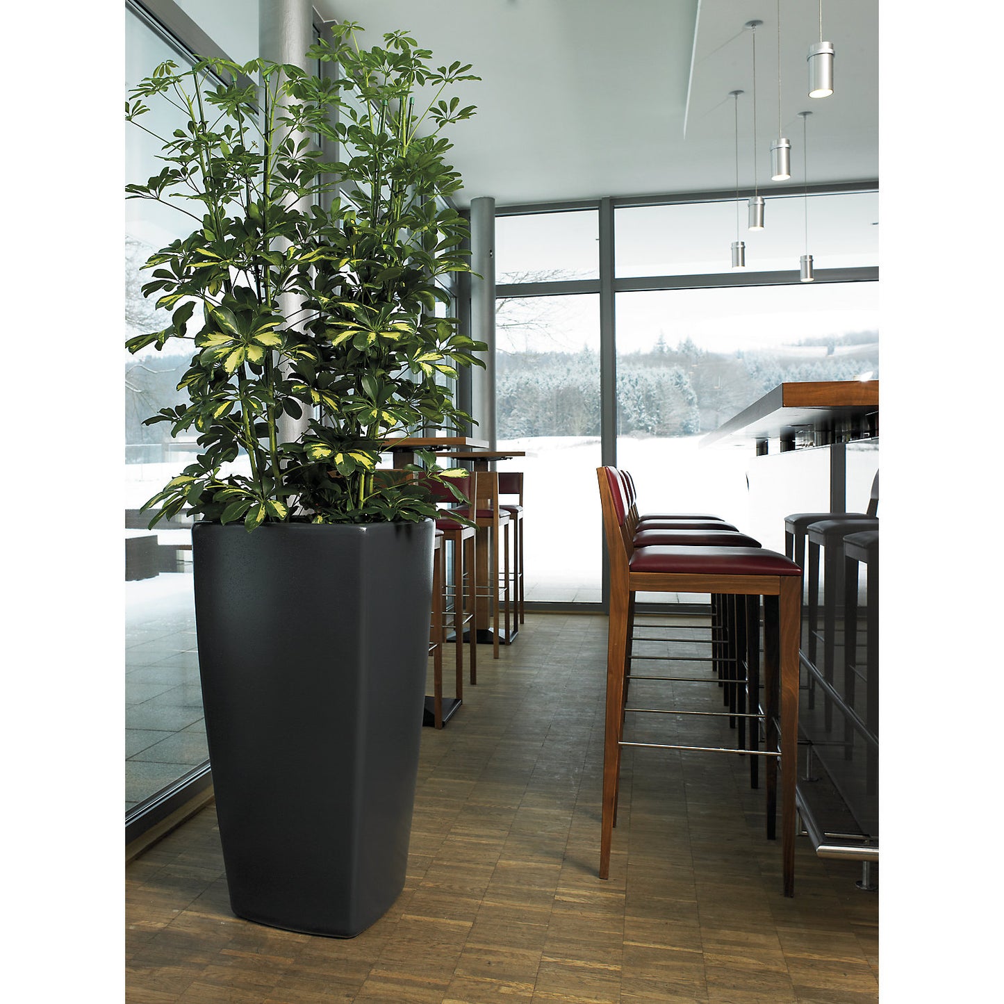 Plant container, TREVIA IV, HxWxD 900 x 470 x 470 mm, charcoal.