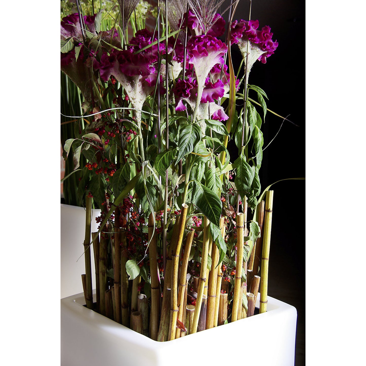 Plant container, TREVIA V, HxWxD 700 x 360 x 360 mm, white.