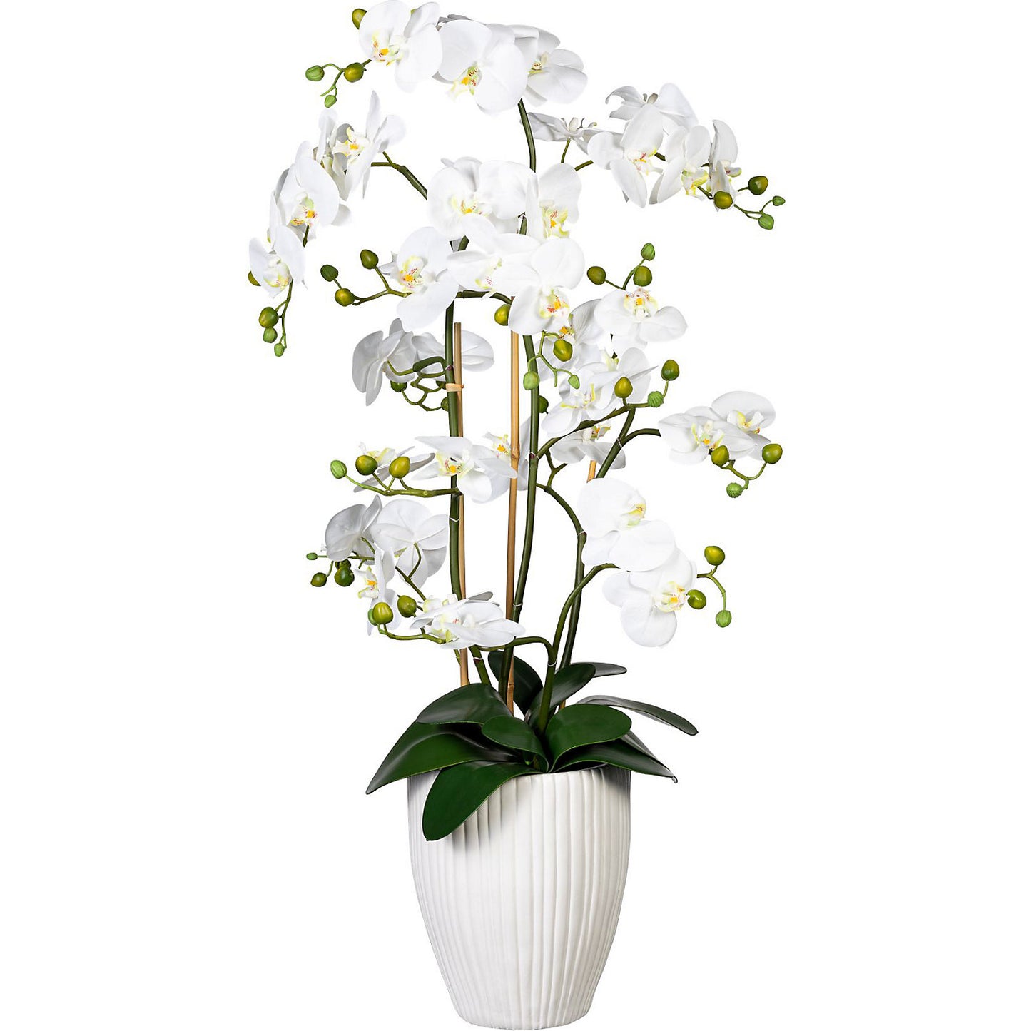 Phalaenopsis orchid, real touch, in ceramic vase, height approx. 1100 mm, white.