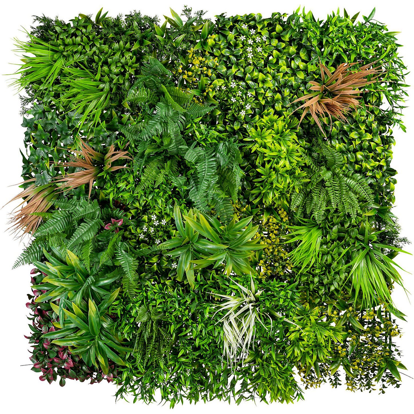 Leafy green panel, with ferns, grasses and flowers, LxWxH 1000 x 1000 x 120 mm, UV resistant.