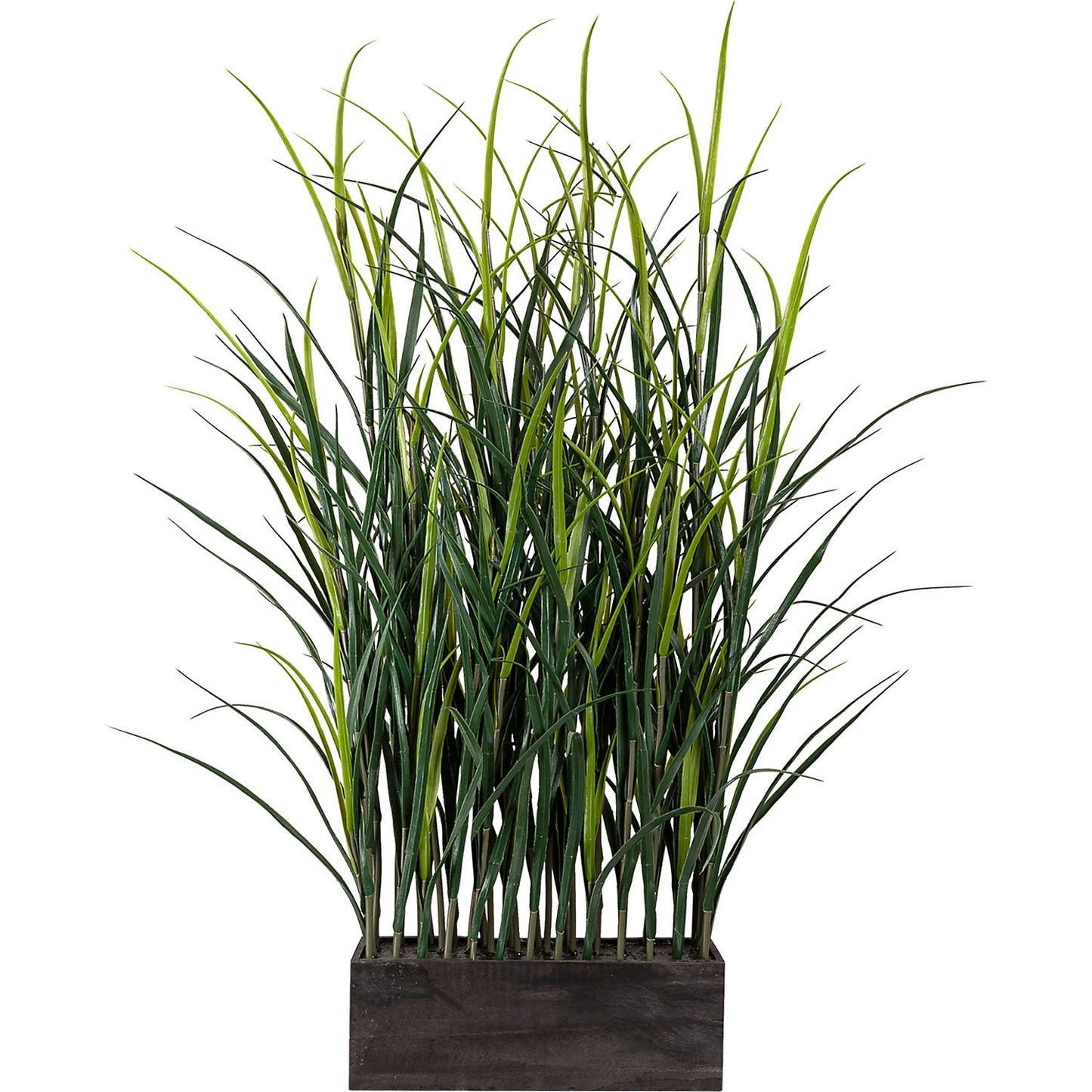 Plastic grass room divider, in a wooden box, WxD 300 x 100 mm, height approx. 900 mm.