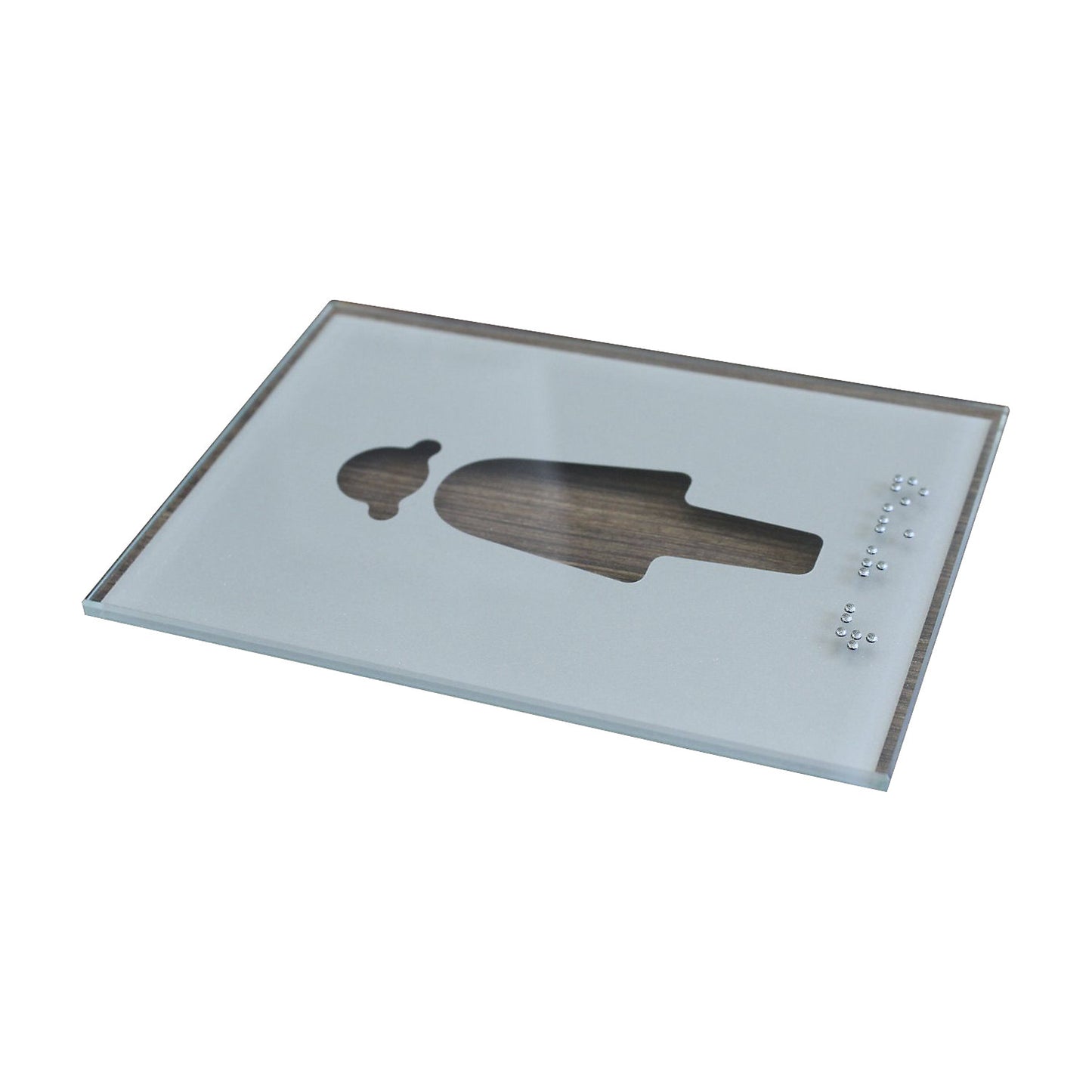 WC pictogram door sign, braille, HxW 148 x 105 mm, inscription: Damen.