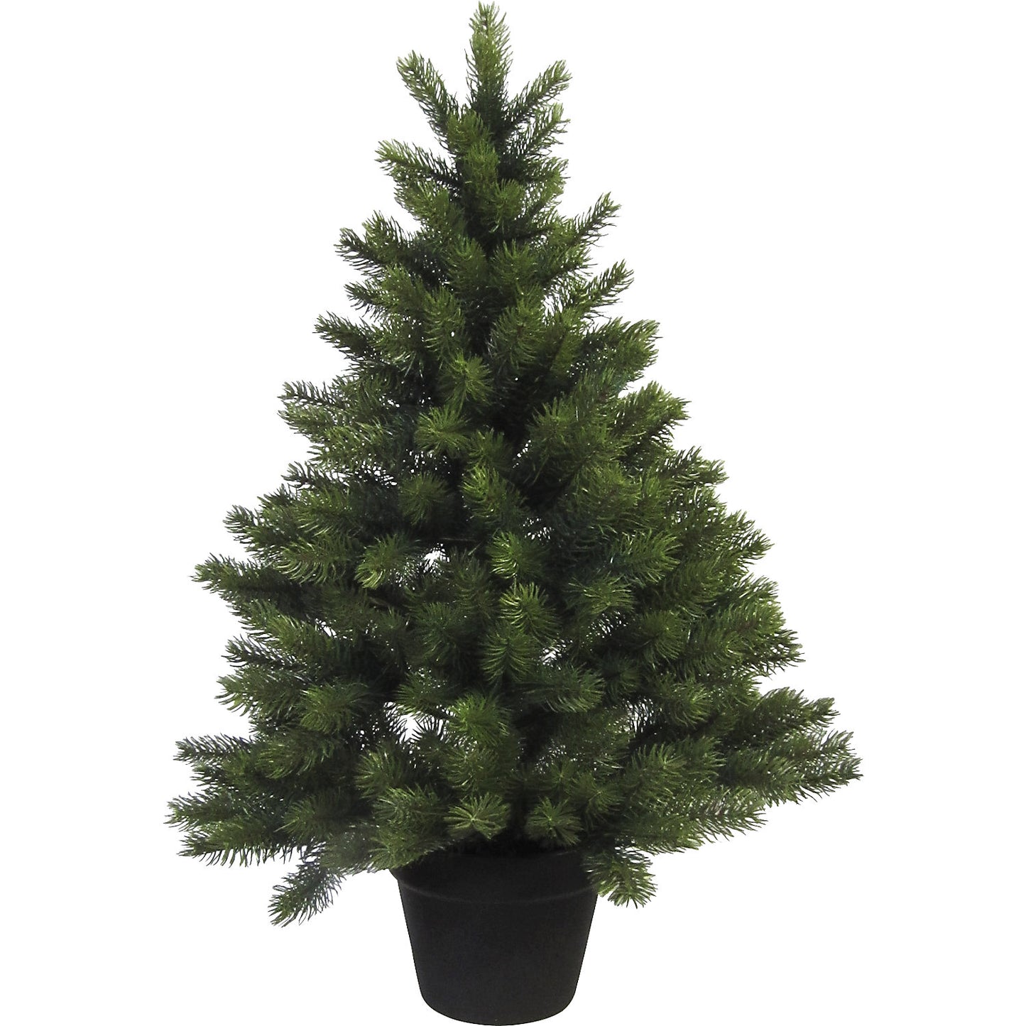 Norfolk Island pine in a pot, green, height 90 cm, 287 tips.