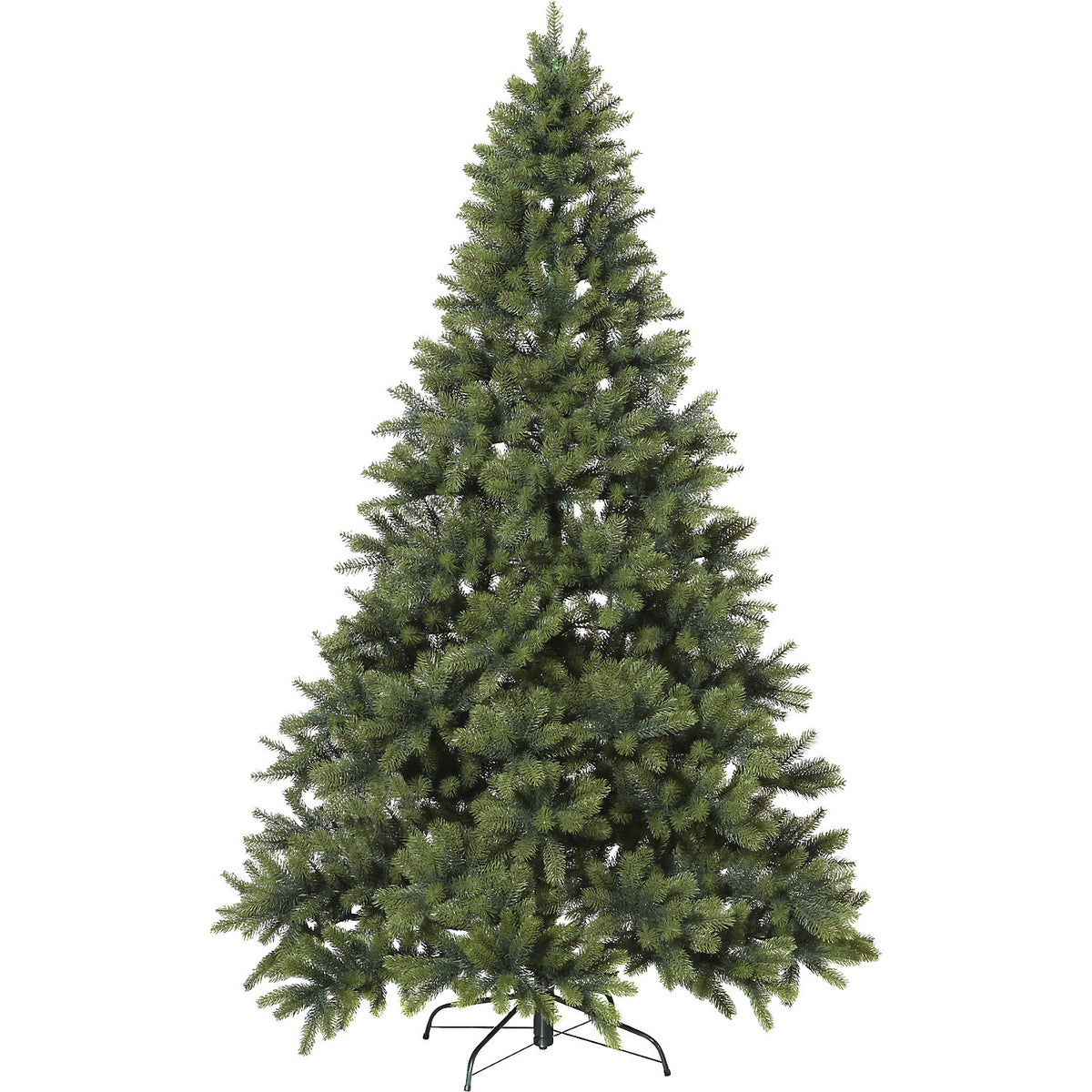 Fir tree, 1829 tips, height 210 cm.
