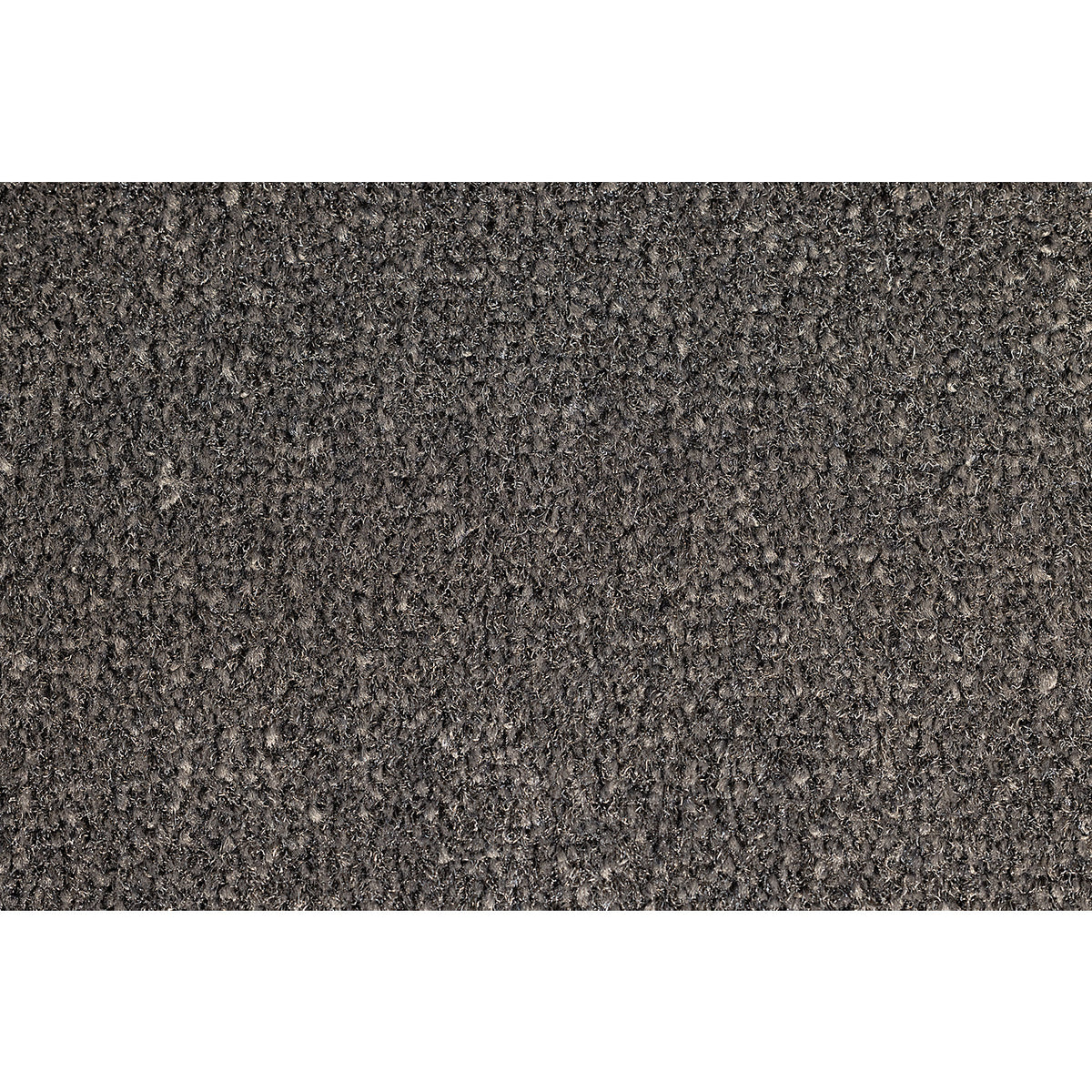 EAZYCARE RUSH entrance matting, LxW 600 x 900 mm, ash grey.