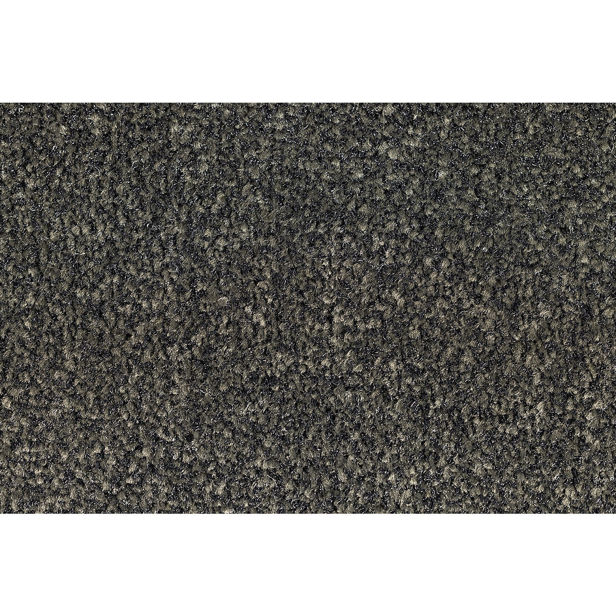 EAZYCARE RUSH entrance matting, LxW 900 x 1500 mm, charcoal grey.