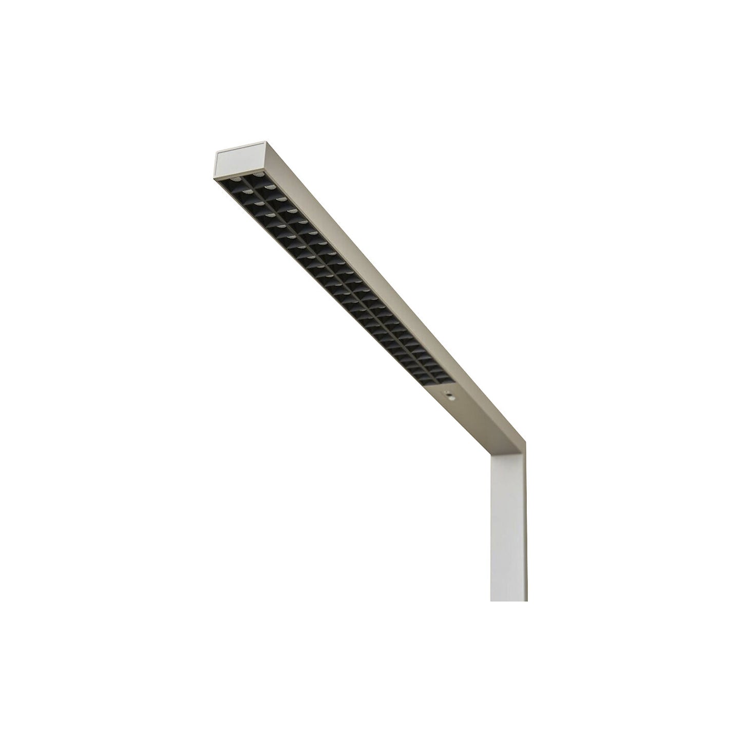 LED floor lamp Linus Up & Down, sensor / dimmable, H 1950 mm, silver.