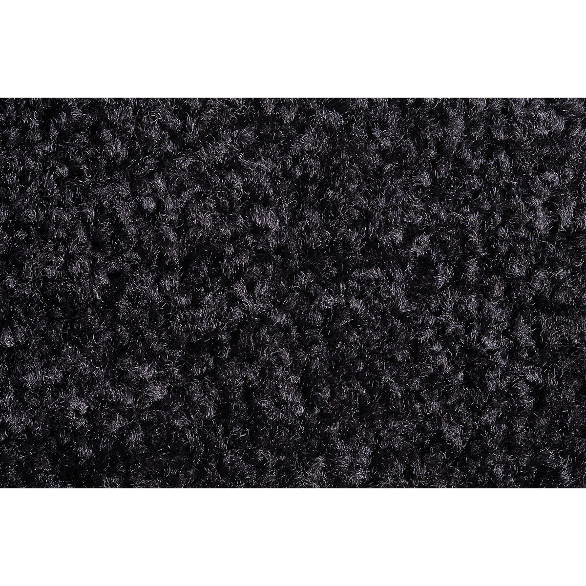 Entrance matting EAZYCARE COLOR, for indoors, LxW 400 x 600 mm, black.