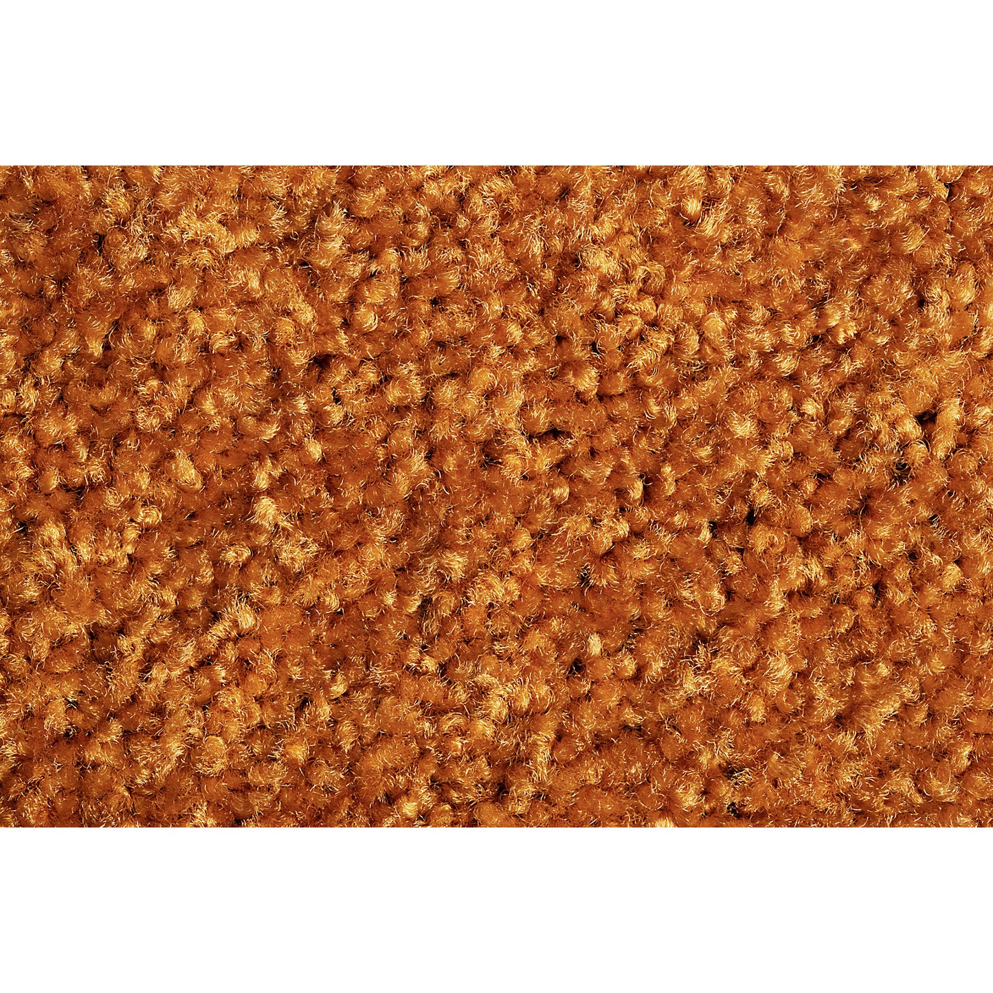 Entrance matting EAZYCARE COLOR, for indoors, LxW 1200 x 1800 mm, orange.