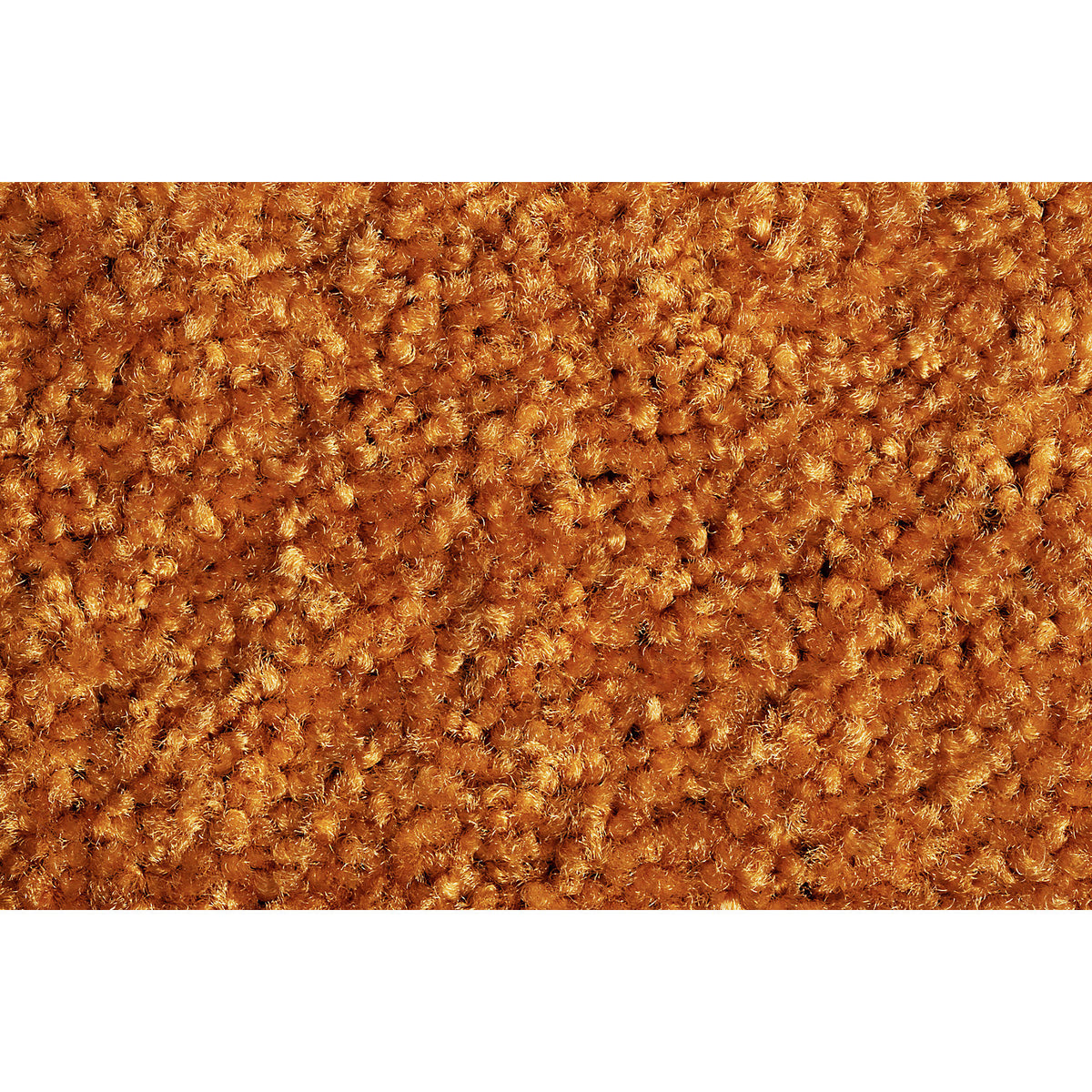 Entrance matting EAZYCARE COLOR, for indoors, LxW 600 x 900 mm, orange.