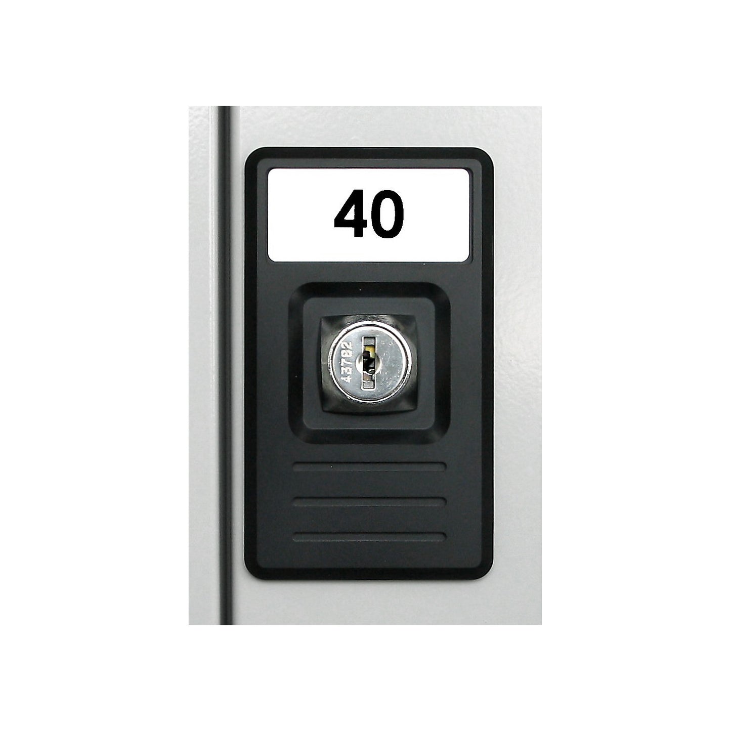 Labels, for placement in door protector label, pack of 48.