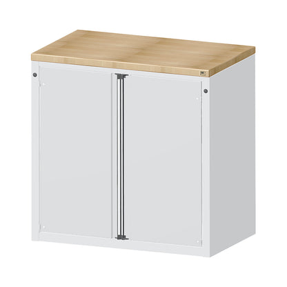 Cabinet for material and tool dispensing counter, 2 doors, 2 shelves, grey.