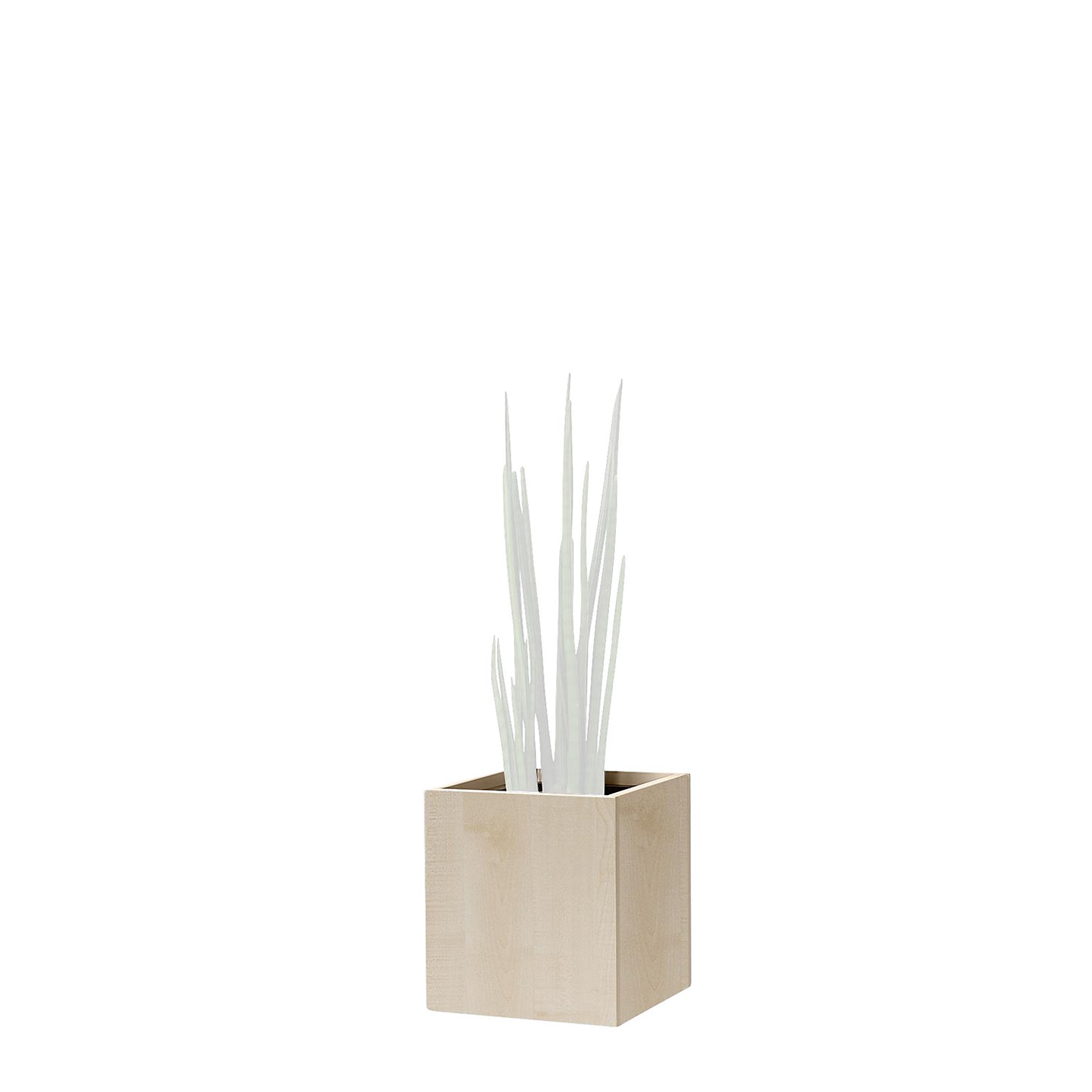 Plant pot, knee height, for 1 plant, maple finish.