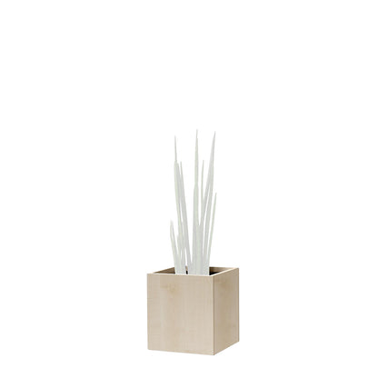 Plant pot, knee height, for 1 plant, maple finish.