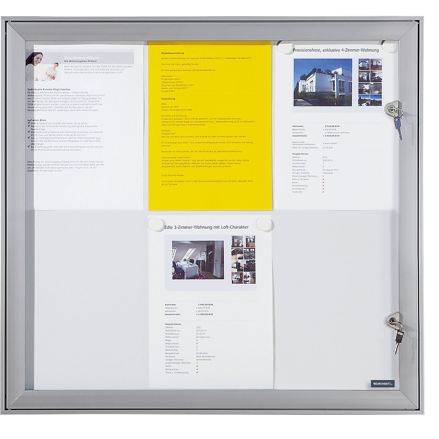 Display case with hinged door, external WxHxD 742 x 697 x 33 mm, metal rear panel.