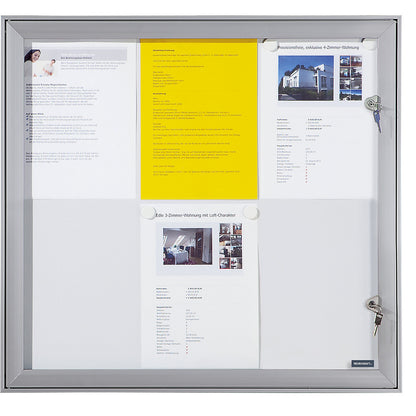 Display case with hinged door, external WxHxD 742 x 697 x 33 mm, metal rear panel.