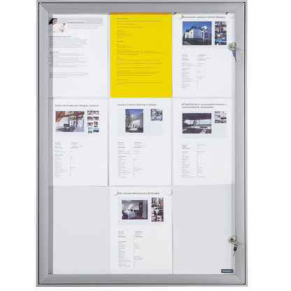 Display case with hinged door, external WxHxD 742 x 1005 x 33 mm, metal rear panel.