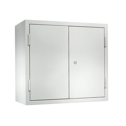 Wall mounted cupboard for the workshop, HxWxD 600 x 650 x 320 mm, solid panel doors, light grey RAL 7035.