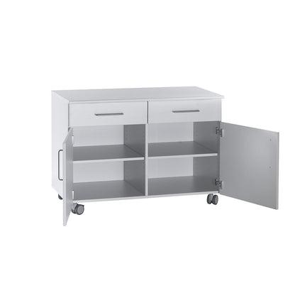 Laboratory base cupboard, high, 2 drawers, 2 doors, 2 shelves, 1 central partition, width 1136 mm.