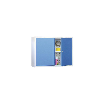 Wall mounted cupboard, height 600 mm, with solid panel door/s, width 800 mm, perforated rear panel, grey / blue.