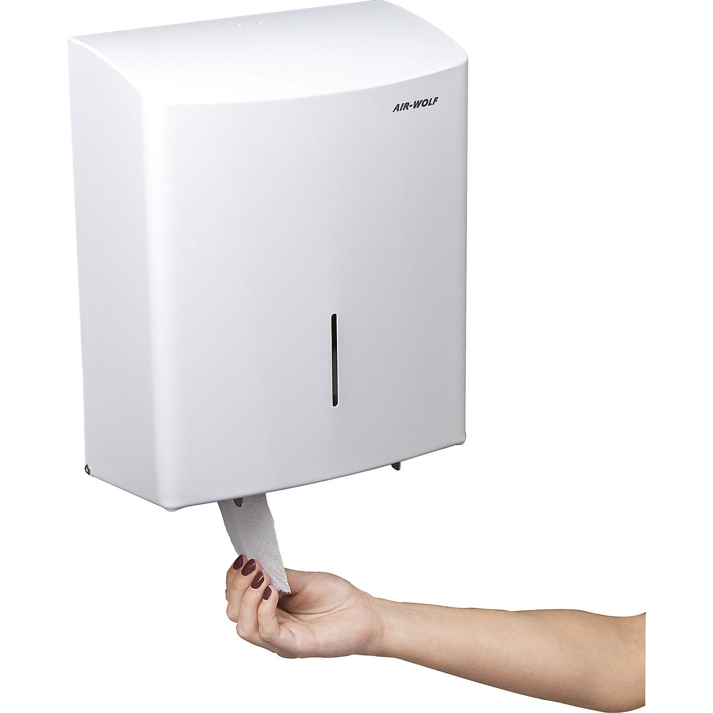 Duplex toilet paper dispenser, for 1 large roll or 3 standard household rolls, white stainless steel.