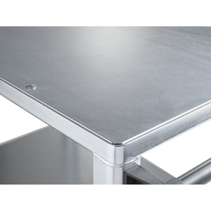 Assembly trolley, max. load 500 kg, 2 shelves with zinc plated sheet steel covering, shelf 1250 x 800 mm, zinc plated frame.