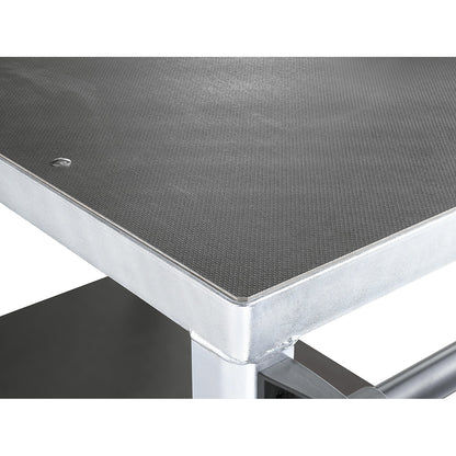 Assembly trolley, max. load 1000 kg, 2 shelves made of phenolic plywood, shelf 1250 x 800 mm, zinc plated frame.