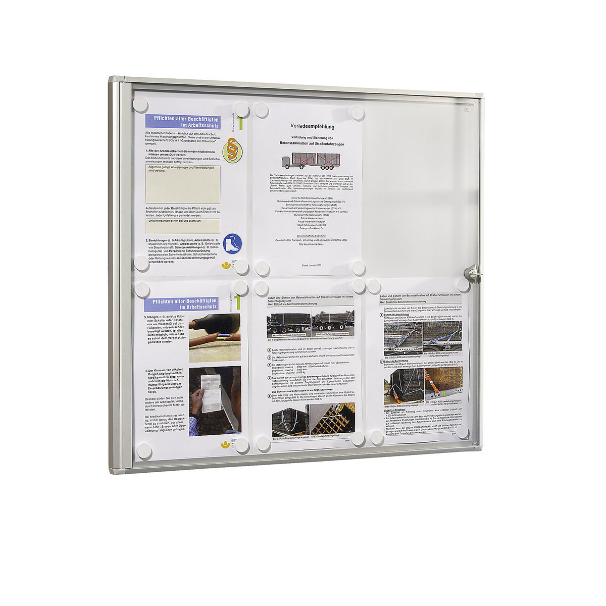 Display case for indoor use, metal rear panel, 6 x A4 sheets, HxW 655 x 711 mm.