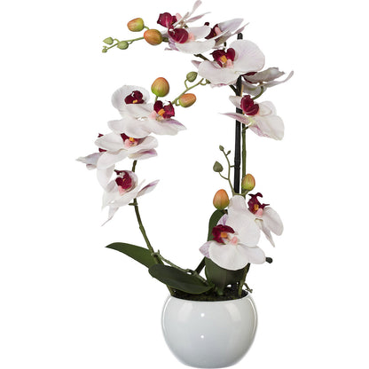 Moth orchid, height 420 mm, in a ceramic pot, pink flowers, 3D print.