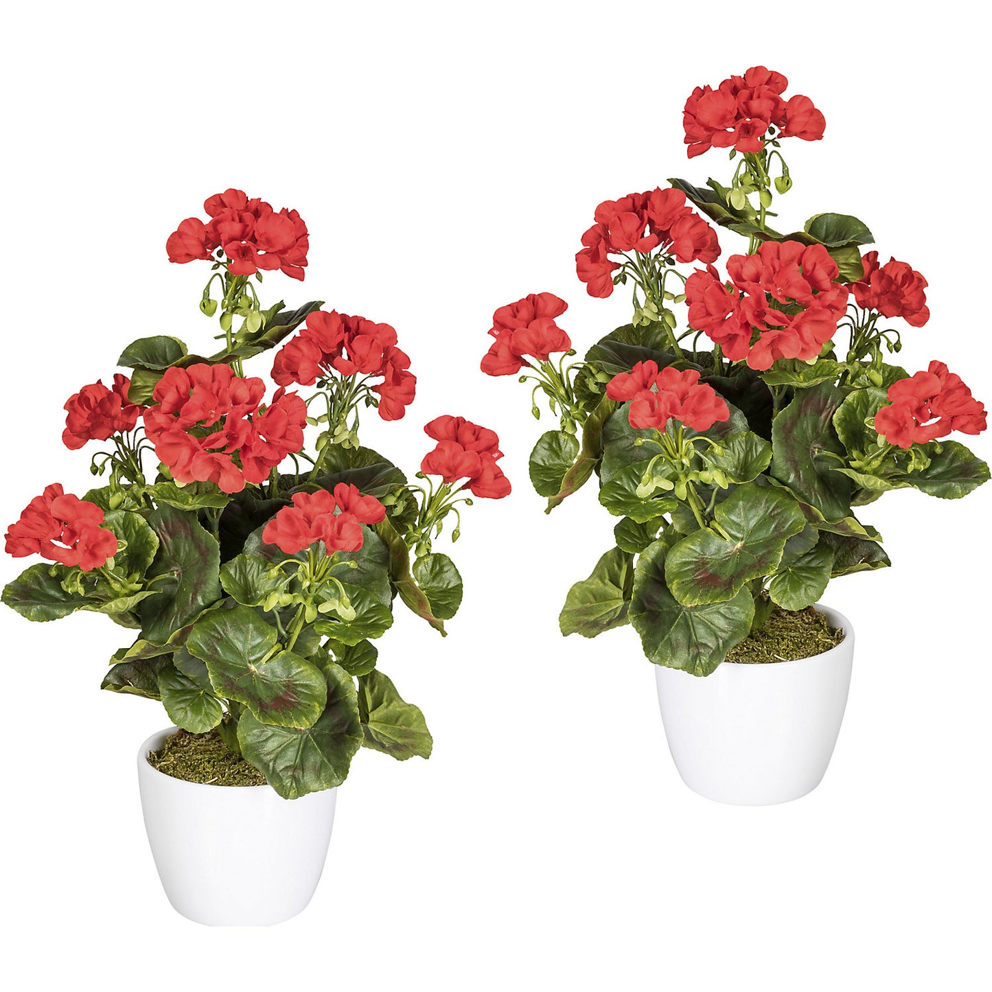 Geranium bush, UV resistant, height 400 mm, 26 leaves, pack of 2, red flowers.