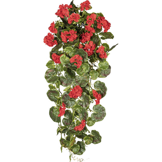 Hanging geranium, height 800 mm, UV resistant, red flowers.