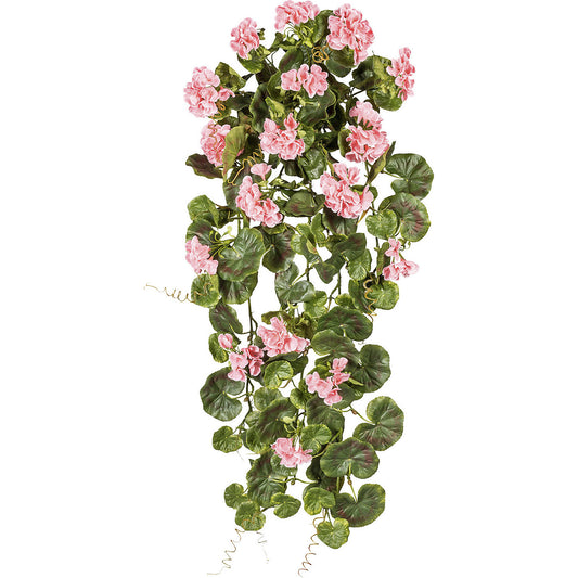 Hanging geranium, height 800 mm, UV resistant, pink flowers.
