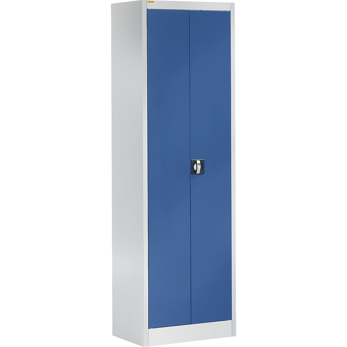 Storage cupboard, HxW 1950 x 600 mm, depth 420 mm, housing light grey, doors brilliant blue.