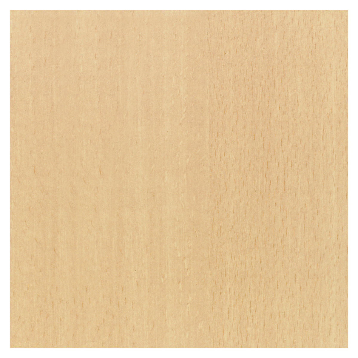 Multipurpose table, trapezoidal, HxWxD 740 x 1400 x 700 mm, beech finish top, black frame.