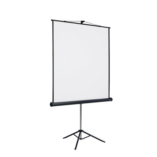 Projection screen with stand, 1:1 projection format, viewing area WxH 1740 x 1800 mm.