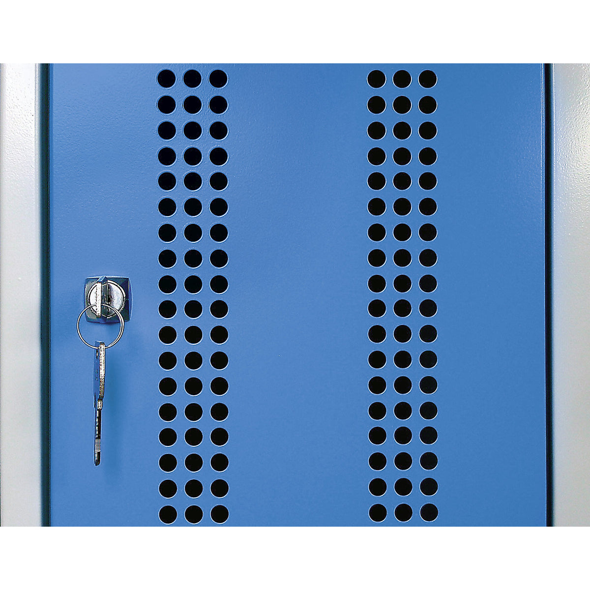 Door for steel cupboard, perforated steel door, extra cost.