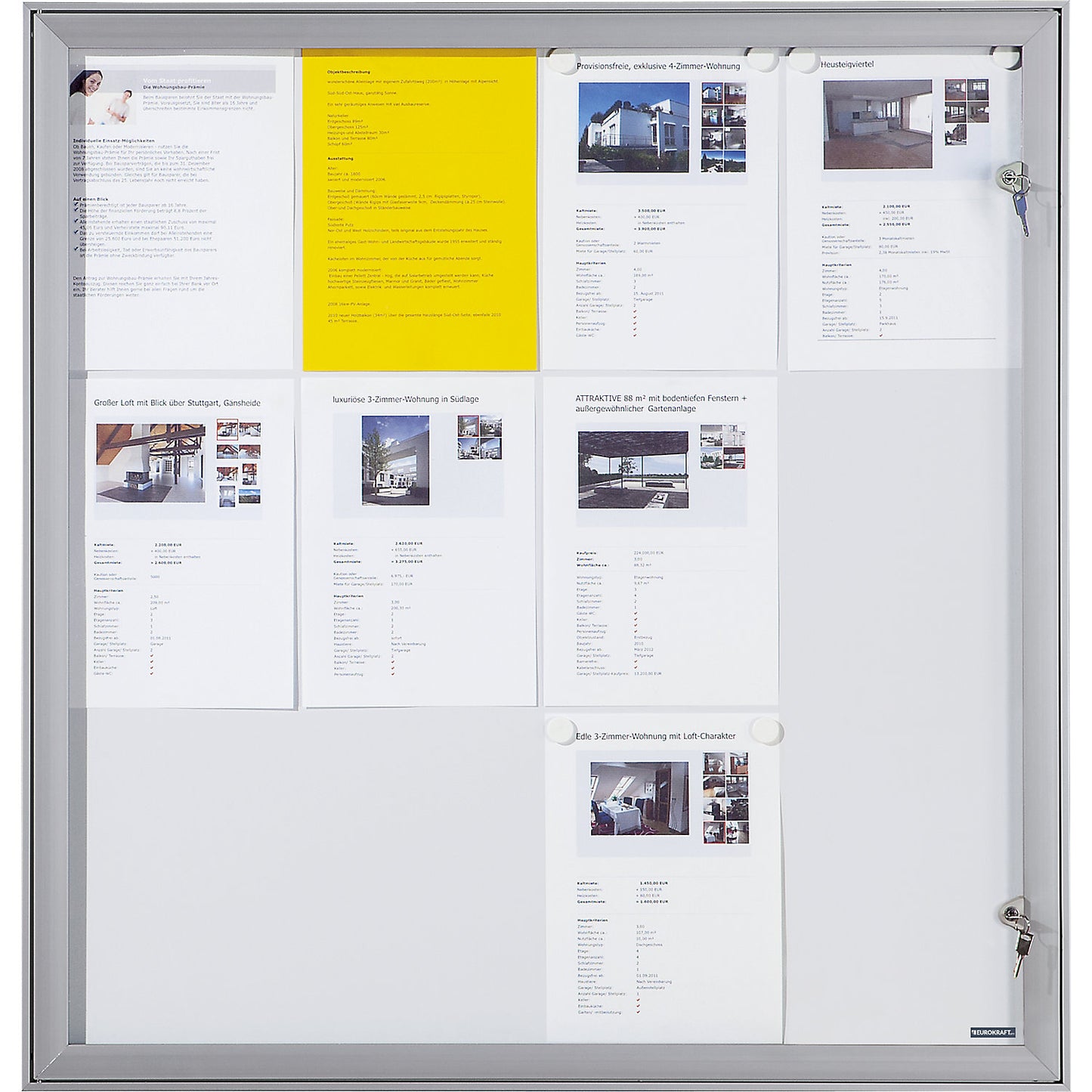 Display case with hinged door, external WxHxD 742 x 697 x 33 mm, metal rear panel.