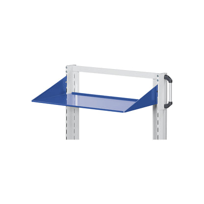 Shelf with adjustable inclination, mounting bracket at top, width 1250 mm, depth 250 mm, grey.