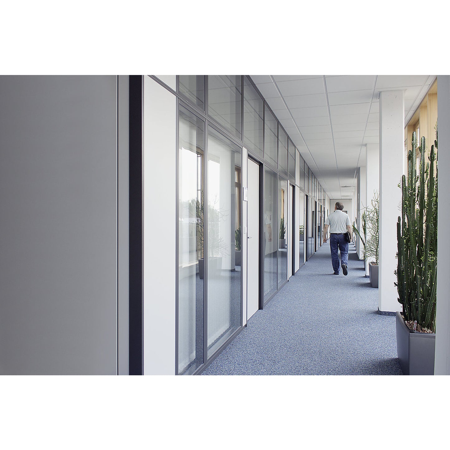 Modular partition, solid wall section, per m².