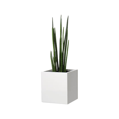 Plant pot, knee height, for 1 plant, maple finish.