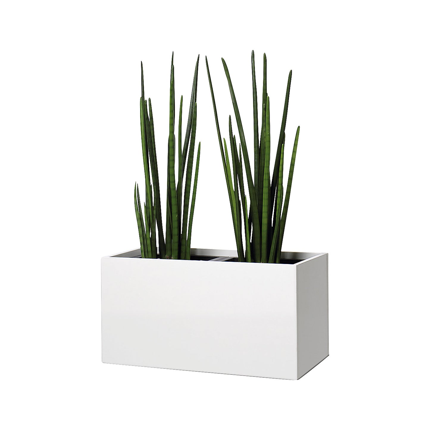 Plant pot, knee height, for 2 plants, maple finish.
