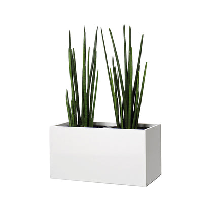 Plant pot, knee height, for 2 plants, maple finish.